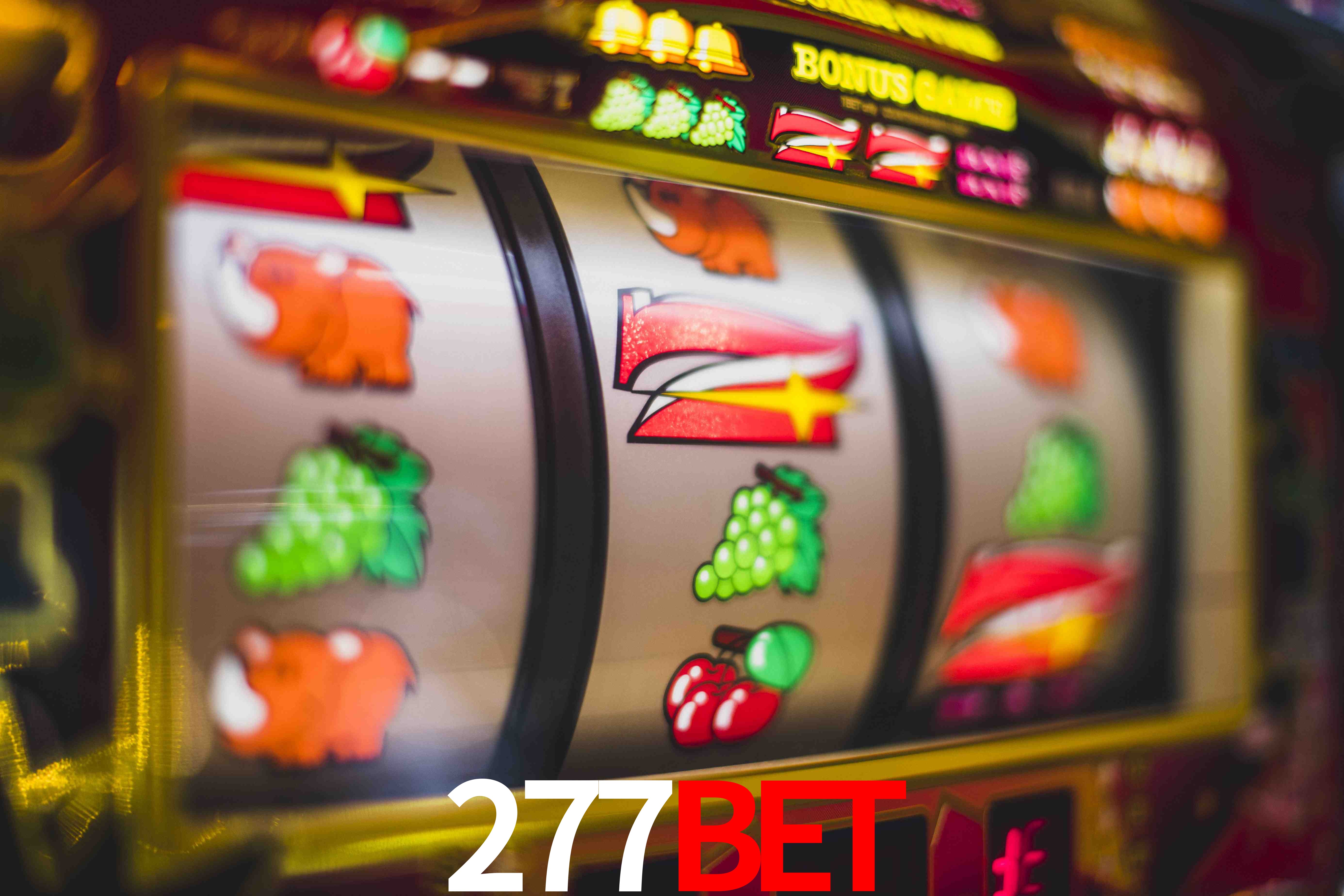 Experiência VIP 277BET
